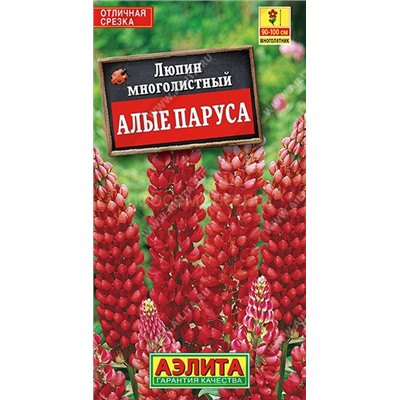 Люпин Алые паруса (Аэлита)