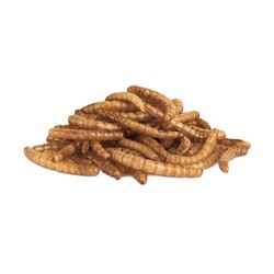 Лакомство Little One «Мучной червь» для всеядных грызунов, 70 г