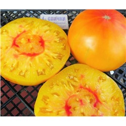 Томат Грейпфрут большой отец (Агрони) Скидка! Срок год 12.2025