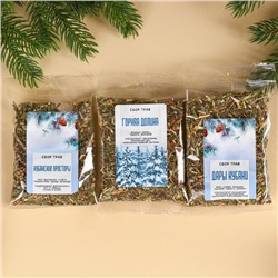 Подарочный набор новогодний «Тайны матушки зимы»: сбор трав 3 шт. × 20 г, варенье из сосновых шишек, 100 мл.