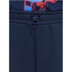 PELICAN Брюки BFPQ3337