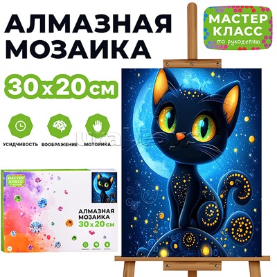 Мозаика алмазная "Черный кот" 20*30см.