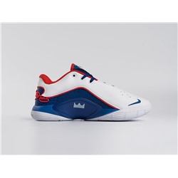 Кроссовки Nike Lebron XXII
