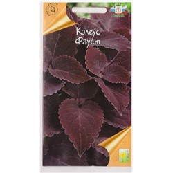 Колеус Фауст (Код: 79472)