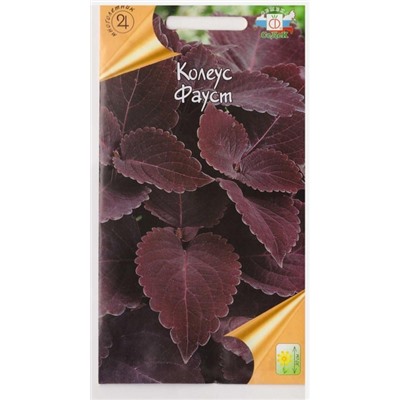 Колеус Фауст (Код: 79472)