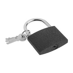 Замок навесной ТУНДРА ZN1075, 75 мм