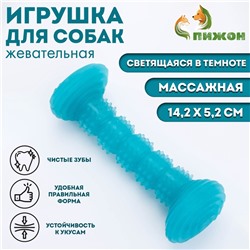 Жевательная игрушка для собак «Палка», светящаяся, массажная, 14.2×5.2 см, голубая
