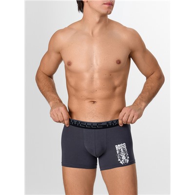 ТРУСЫ МУЖСКИЕ (2ШТ) 411221-2