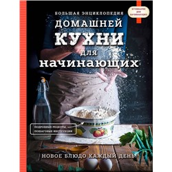 Эксмо "Большая энциклопедия домашней кухни для начинающих"