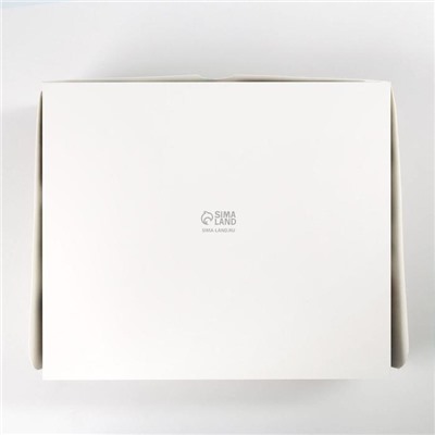 Упаковка для кондитерских изделий новогодняя «С Новым годом», 20×17×6 см