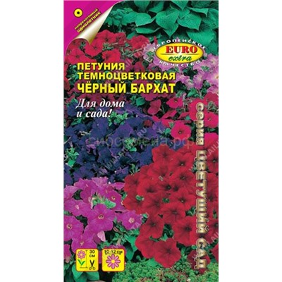 Петуния Черный бархат смесь (Аэлита)