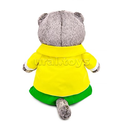 Кот Басик в ярком костюме