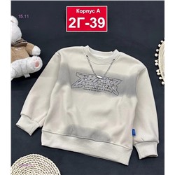 Кофта с начесом 1849018-1