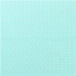 Полотенце вафельное «Экономь и Я», 50×90 см,100% хлопок, 200 г/м², небесный