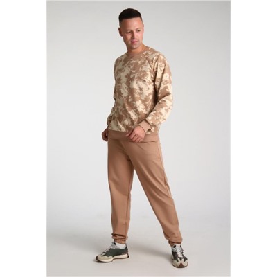 14121 Костюм мужской (Коричневый)