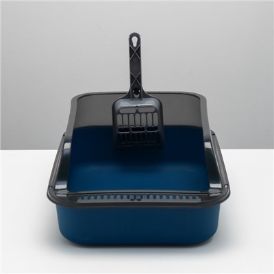 Туалет с прозрачными бортами с совком и фильтром, 40×28×16 см, синий