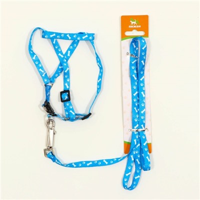 Шлейка с поводком «Классика», ОГ 21-35 см, поводок 120×1 см, капрон, голубая