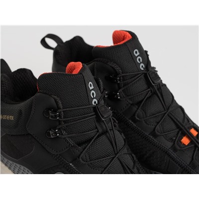 Зимние кроссовки Nike ACG Mountain Fly Mid