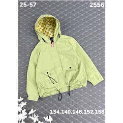 Ветровка 2556 зелёный