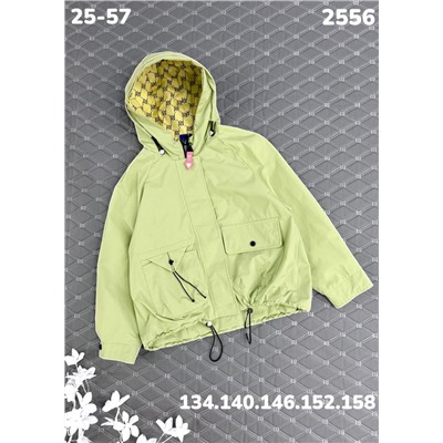 Ветровка 2556 зелёный
