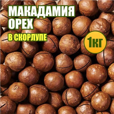 Макадамия орех в скорлупе 1 кг.