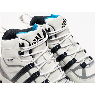 Зимние Ботинки Adidas Terrex Winter