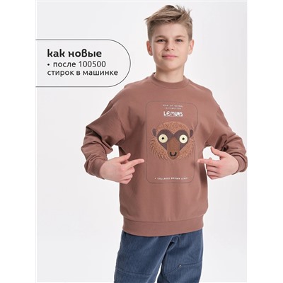 PELICAN Толстовка BFN3370