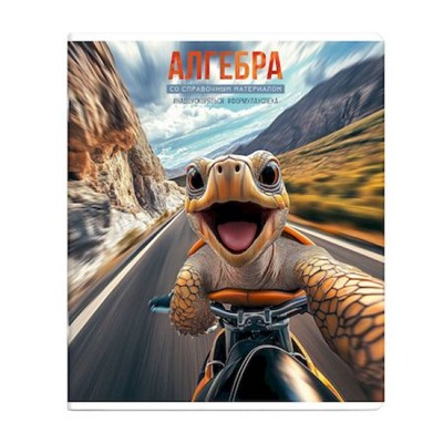 Тетрадь  48л "СЕЛФИ" по алгебре 69835 Феникс