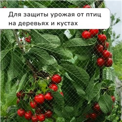 Сетка садовая, мягкая, 10×4 м, ячейка 15×15 мм, от птиц, Greengo