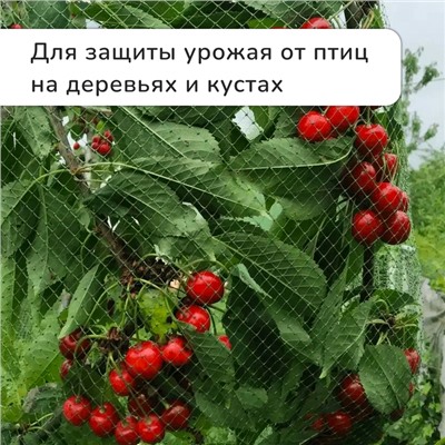 Сетка садовая, мягкая, 5×4 м, ячейка 15×15 мм, от птиц, Greengo