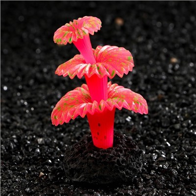 Декор для аквариума «Коралл на платформе» силиконовый, 5×5×8 см, розовый