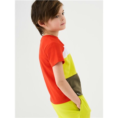 Фуфайка трикотажная для мальчиков (футболка)