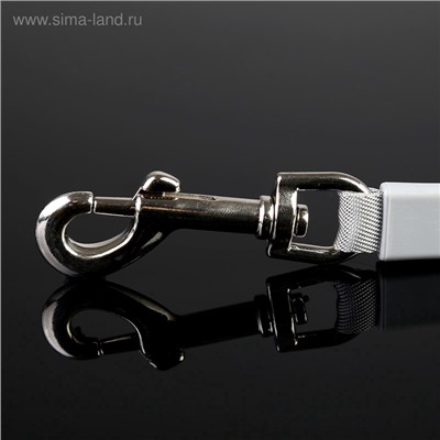 Рулетка DIIL, 5 м, до 40 кг, лента, прорезиненная ручка, оранжевая с серым