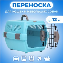 Переноска для животных «Неон», 48×32×29.5 см, вес до 12 кг, пластик, голубая
