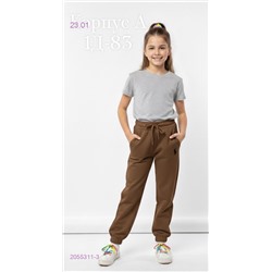 штаны 2055311-3