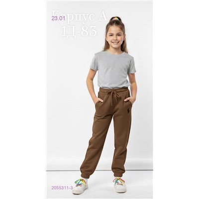 штаны 2055311-3