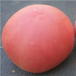 7060T Томат Персик Блов Саттон 10шт