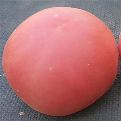 7060T Томат Персик Блов Саттон 10шт