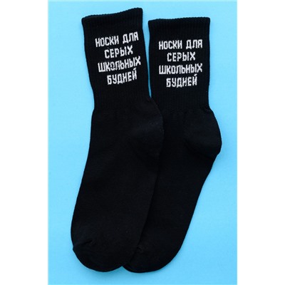 Носки стандарт Школьные будни (набор 3 пары) НАТАЛИ, 1105655