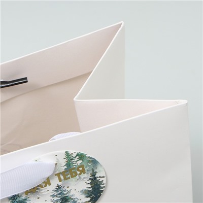 Пакет подарочный новогодний ламинированный, конгревное тиснение «С Новым годом», ML 23×27×11.5 см