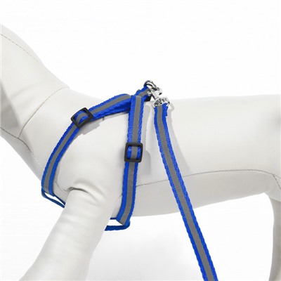 Комплект со светоотражающей лентой, ширина 1 см, поводок 120 см, шлейка 26-40 см, синий