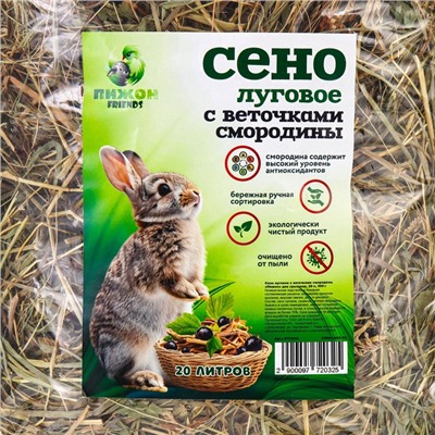 Сено луговое с веточками смородины «Пижон» для грызунов, 20 л, 500 г