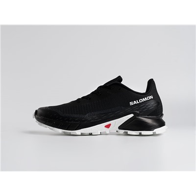 Кроссовки Salomon Alphacross 5 GTX