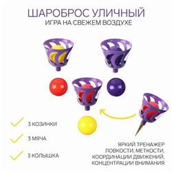 Игра на свежем воздухе «Шароброс уличный»: 3 корзинки, 6 мячей, 3 колышка