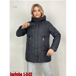 Куртка осень 1981211-5