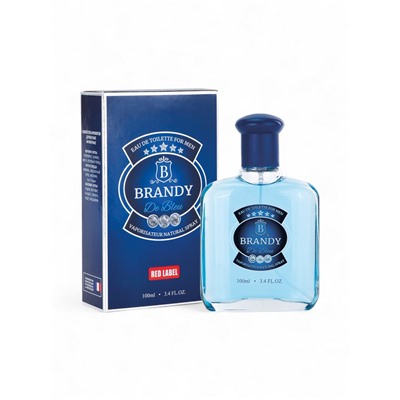 Туалетная вода мужская Brandy De Bleu, 100 мл