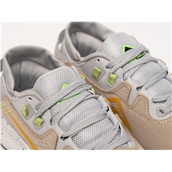 Кроссовки Nike Pegasus Trail 2