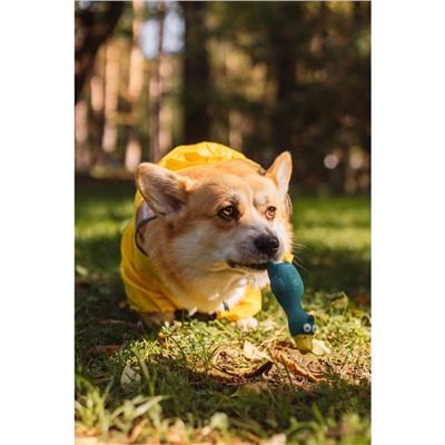 Игрушка для собак «Утка», 17 см, пищащая, латекс, синяя