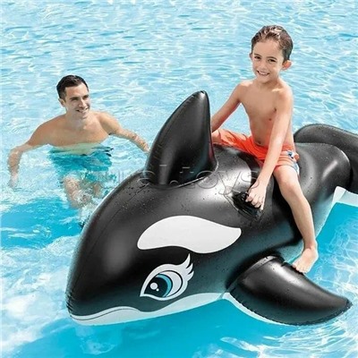 Игрушка для плавания «Касатка», 188 х 122 см, от 3 лет, 58561NP INTEX