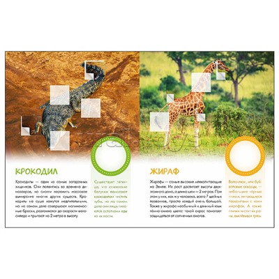 Мир животных с наклейками. Кто живёт в зоопарке?